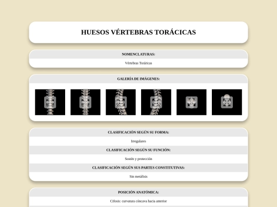 locomotor/huesos/vertebrastoracicas screenshot