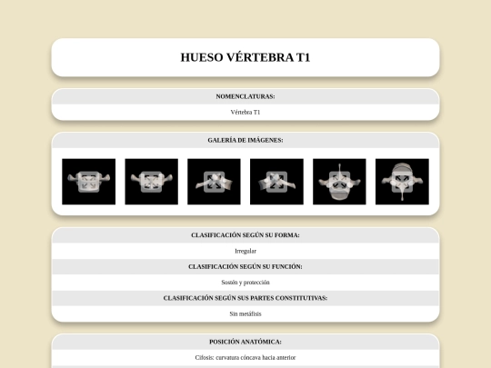 locomotor/huesos/vertebrat1 screenshot