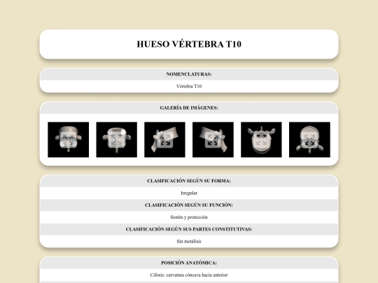 locomotor/huesos/vertebrat10 screenshot