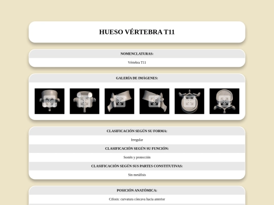 locomotor/huesos/vertebrat11 screenshot