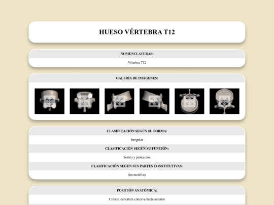 locomotor/huesos/vertebrat12 screenshot