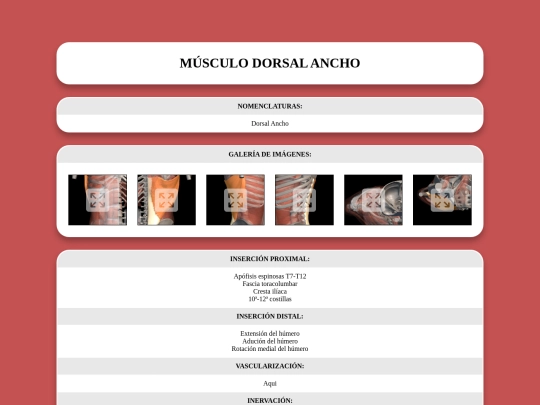 locomotor/musculos/dorsalancho screenshot