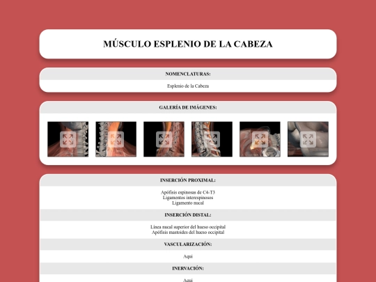 locomotor/musculos/espleniodelacabeza screenshot