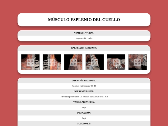 locomotor/musculos/espleniodelcuello screenshot