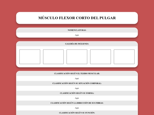 locomotor/musculos/flexorcortodelpulgar screenshot