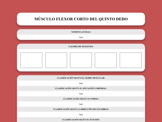 locomotor/musculos/flexorcortodelquintodedo screenshot