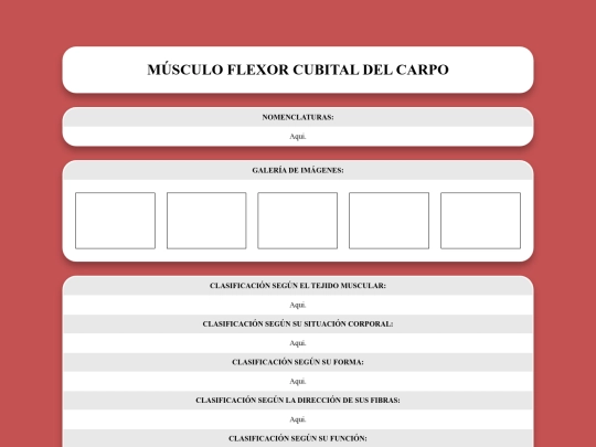 locomotor/musculos/flexorcubitaldelcarpo screenshot
