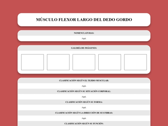 locomotor/musculos/flexorlargodeldedogordo screenshot