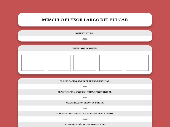 locomotor/musculos/flexorlargodelpulgar screenshot