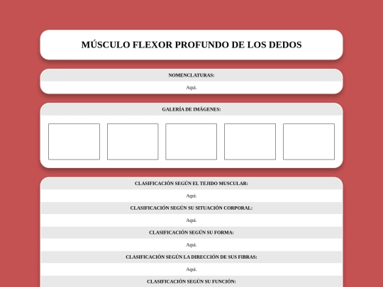 locomotor/musculos/flexorprofundodelosdedos screenshot
