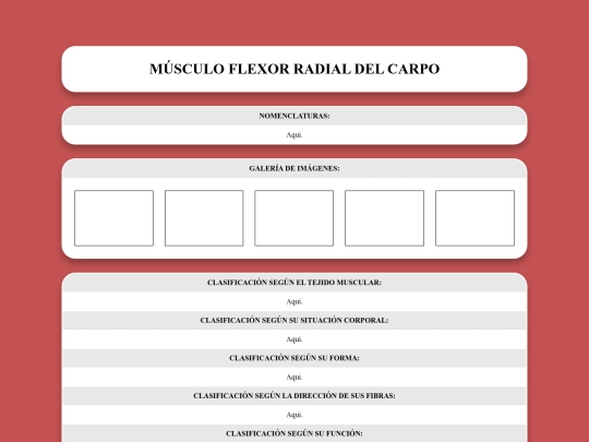 locomotor/musculos/flexorradialdelcarpo screenshot