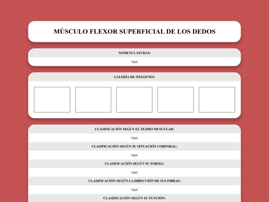 locomotor/musculos/flexorsuperficialdelosdedos screenshot