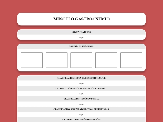 locomotor/musculos/gastrocnemio screenshot