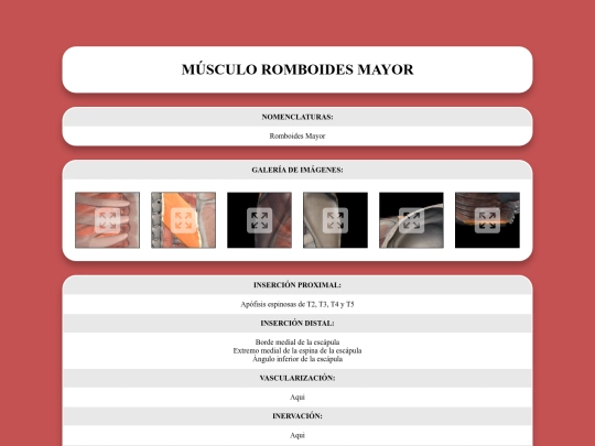 locomotor/musculos/romboidesmayor screenshot