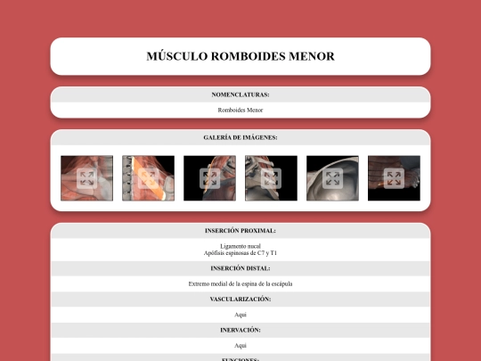 locomotor/musculos/romboidesmenor screenshot