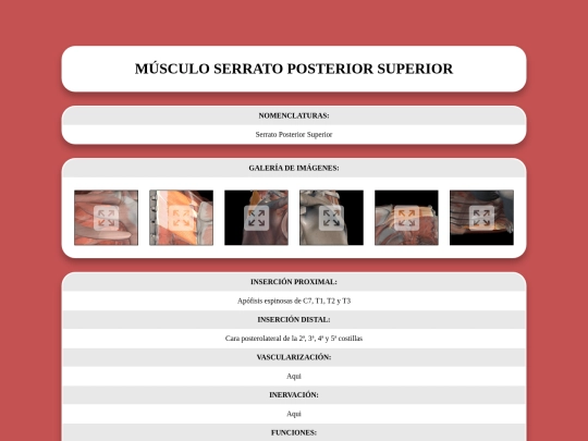 locomotor/musculos/serratoposteriorsuperior screenshot