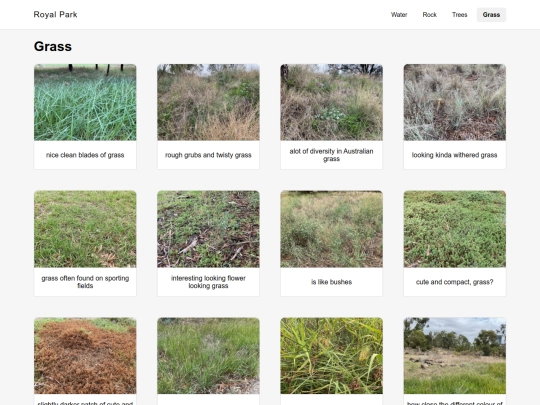 grass screenshot