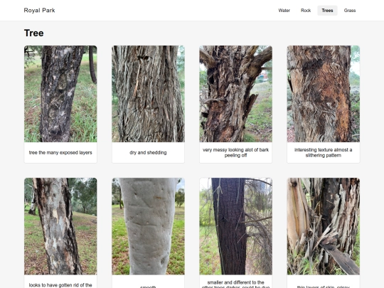 tree screenshot