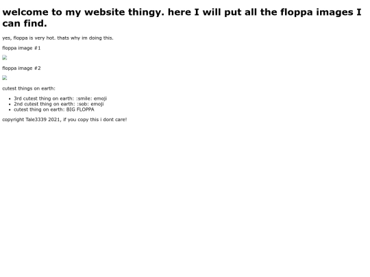 6-2021-site/floppa screenshot