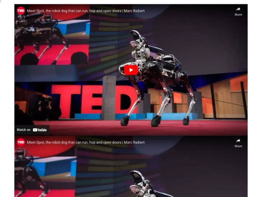 video/video screenshot