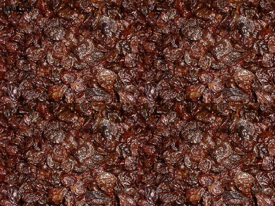 tribute_to_raisins screenshot