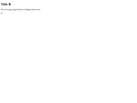 code/scWidget_ArtistsPortfolio/sc_apw_pages/Title_B screenshot