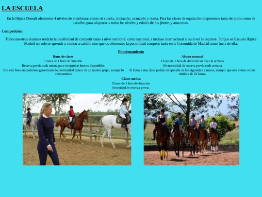 Proyecto/bonos screenshot