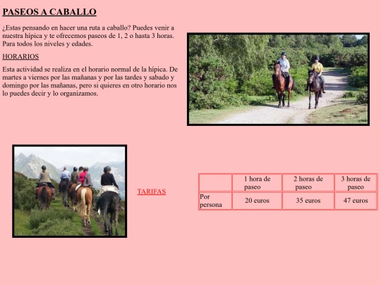 Proyecto/paseos screenshot