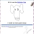 Join us for Birthday Dog Fun in the Sun avatar