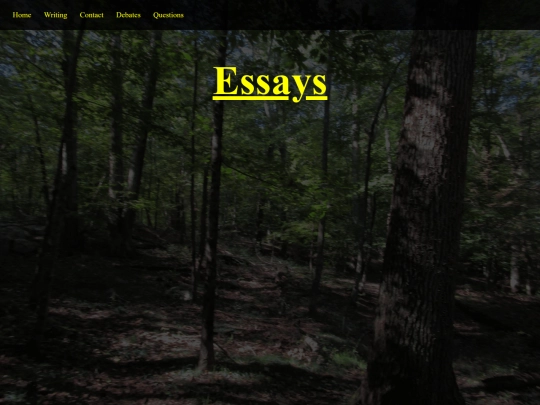 essays screenshot