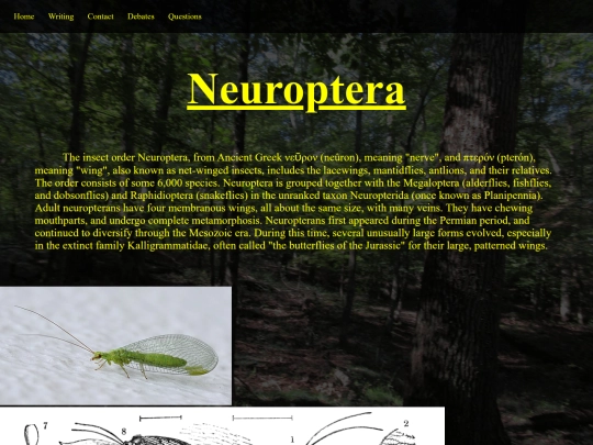 neuroptera screenshot