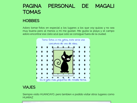 paginapersonal screenshot