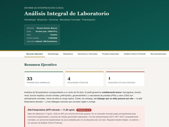 informe_analitica screenshot