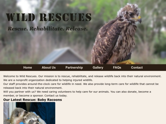 rescue screenshot