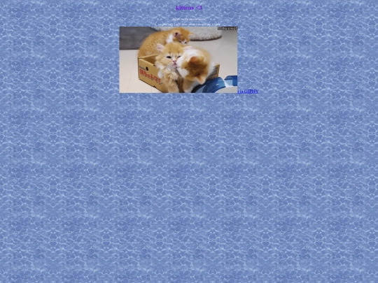 content/kittens screenshot
