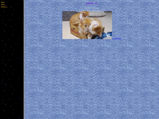 kittens screenshot
