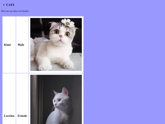cats screenshot
