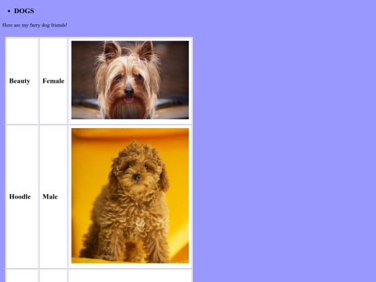 dogs screenshot