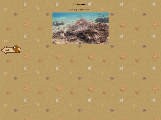 octopus screenshot