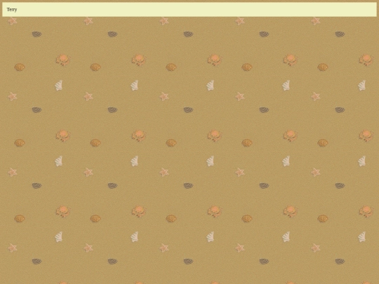 terry screenshot