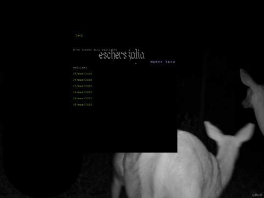 marblog screenshot