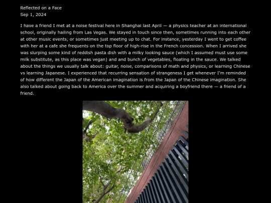 journal/reflected screenshot