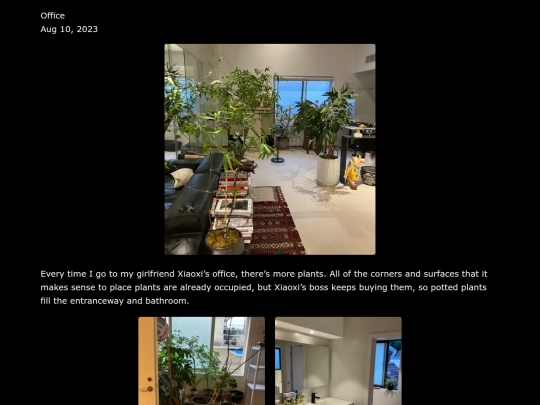 snapshots/office screenshot