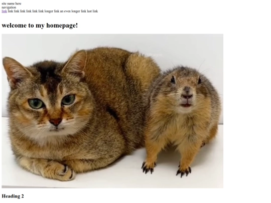 test screenshot