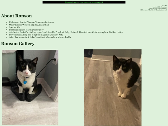 ronson screenshot