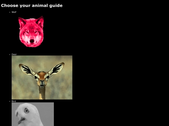 animals screenshot