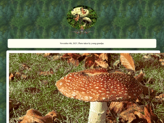 mushrooms screenshot