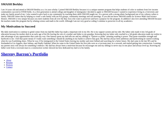 Portfolio/about screenshot