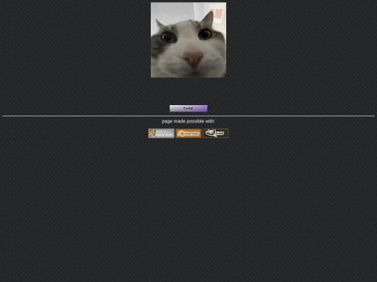 catstare screenshot