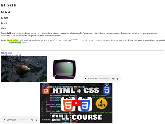 devTestPage screenshot